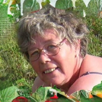 Kari Prause