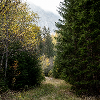 Bjørn Erik Gundersby